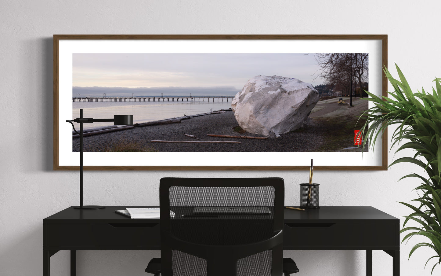 White Rock Panorama: 18*54 photo with solid wood frame